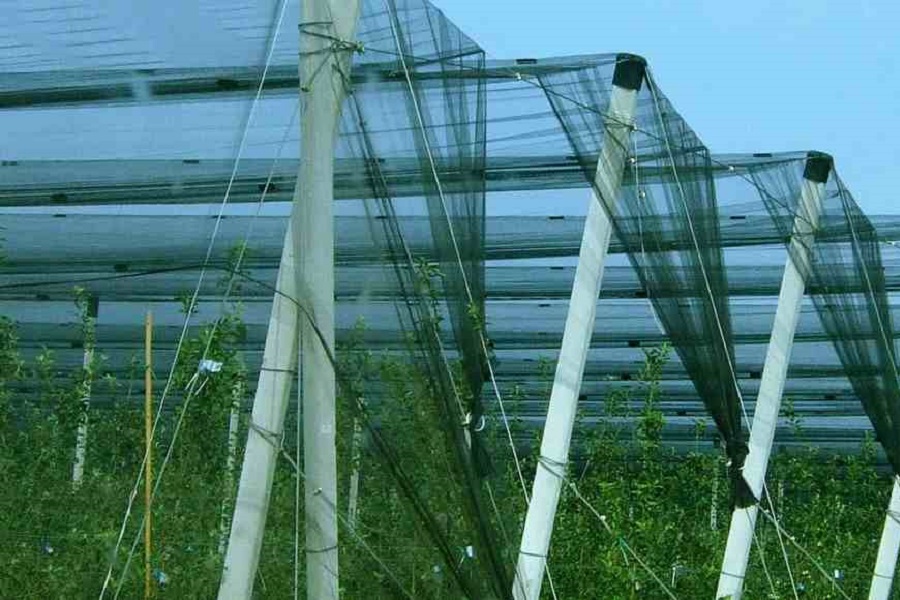 Έως τις 15/11 σε διαβούλευση το πρόγραμμα ενεργητικής προστασίας του ΕΛΓΑ