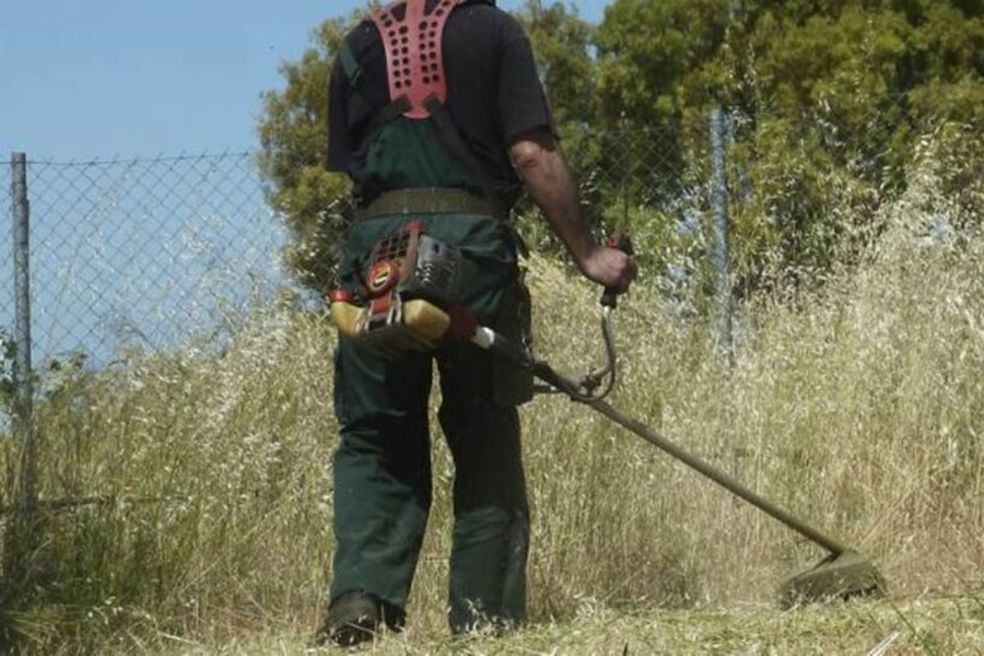 καθαρισμός οικοπέδου